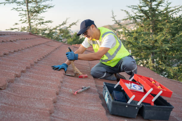 Best Chimney Flashing Repair  in Hobart, IN